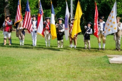 editcar-5348_54588620437_o