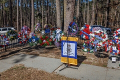 edit-jp1a4704_55094738523_o