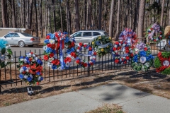 edit-jp1a4722_55094526126_o