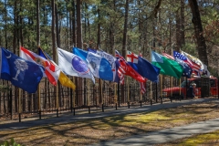 edit-jp1a4825_55094798474_o