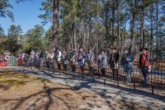 edit-jp1a5069_55093648342_o