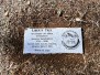 Liberty Tree Dedication, 03-23-2025