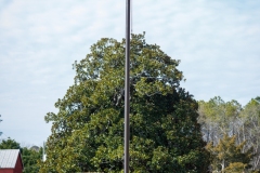 Revolutionary-Days-and-Kettle-Creek-32